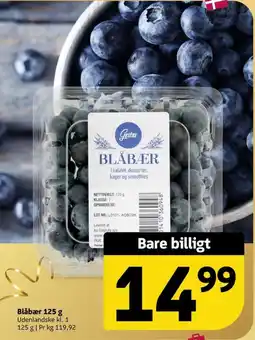 Løvbjerg Gestus Blåbær tilbud