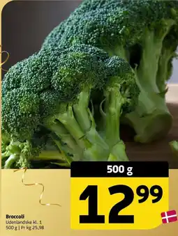 Løvbjerg Broccoli tilbud