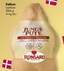 Løvbjerg Ronsard junge pute tilbud