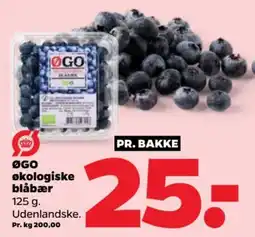 Netto ØGO økologiske blåbær tilbud