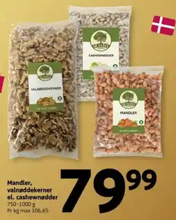 Løvbjerg Quality Farms mandler, valnøddekerner el. cashewnødder tilbud