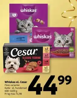 Løvbjerg Whiskas el. Cesar tilbud