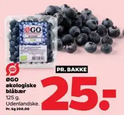 Netto ØGO økologiske blåbær tilbud