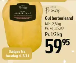 Føtex Princip gul berberieand tilbud