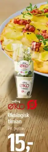 Føtex Solling ØKO Økologisk timian tilbud
