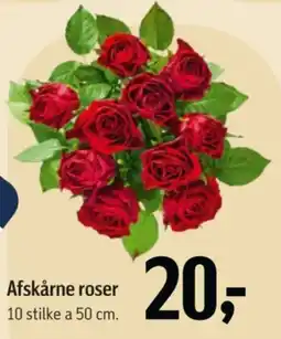 Føtex Afskårne roser tilbud