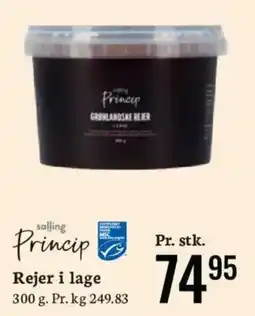 Bilka Princip Rejer i lage tilbud