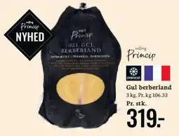 Bilka Princip gul berberiand tilbud