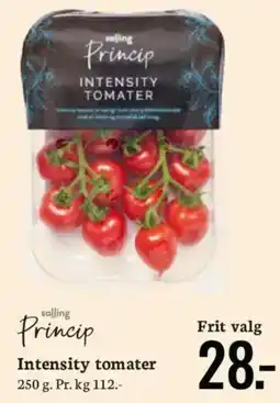 Bilka Princip Intensity tomater tilbud