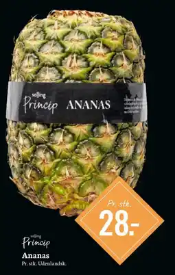 Bilka Princip Ananas tilbud