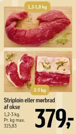 Føtex Striploin eller mørbrad af okse tilbud