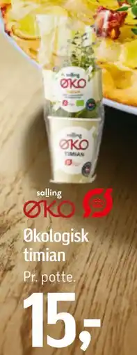 Føtex Økologisk timian tilbud