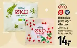 Føtex Økologiske grøntsager eller bær tilbud