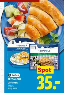 Lidl ERIDANOUS Ostesnegl tilbud