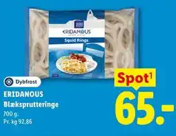 Lidl ERIDANOUS Blæksprutteringe tilbud