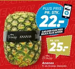 Bilka Ananas tilbud