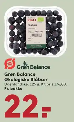 SPAR Grøn Balance Økologiske Blåbær tilbud