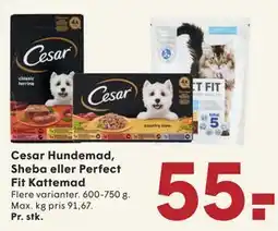 SPAR Cesar Hundemad, Sheba eller Perfect Fit Kattemad tilbud