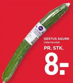 MENY GESTUS AGURK tilbud