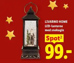 Lidl Livarno Home LED-lanterne med snekugle tilbud