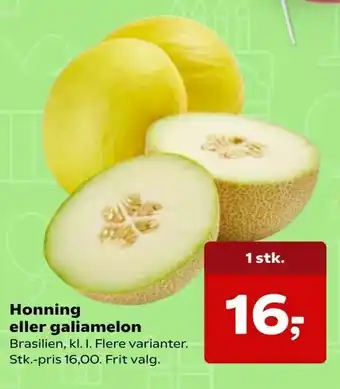 Honning eller galiamelon
