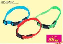 Hi five LED-halsbånd tilbud