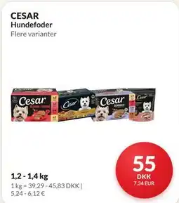 Nielsen's Discount CESAR Hundefoder tilbud