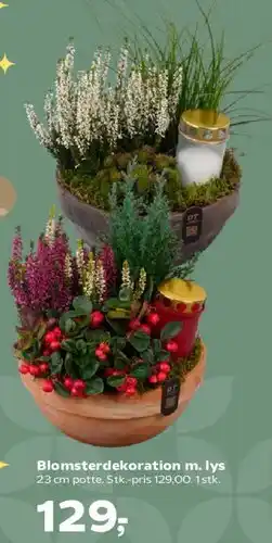 SuperBrugsen Blomsterdekoration m. lys tilbud