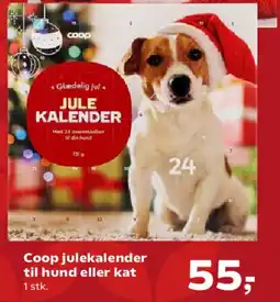 Kvickly Coop julekalender til hund eller kat tilbud