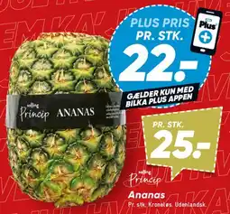Bilka Ananas tilbud