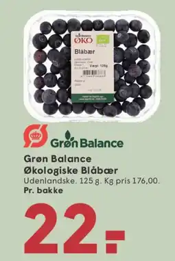 SPAR Grøn Balance Økologiske Blåbær tilbud
