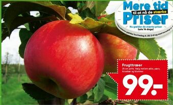 Bilka Frugttræer tilbud