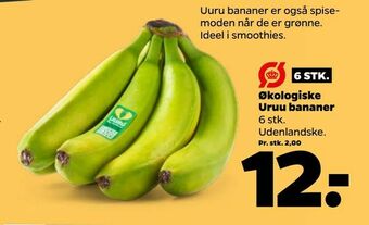Netto Økologiske Uruu bananer tilbud