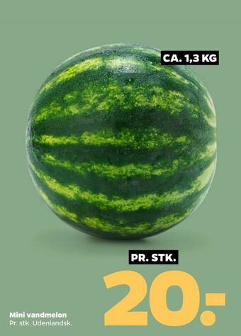 Netto Mini vandmelon tilbud
