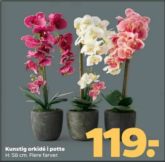 Netto Kunstig orkidé i potte tilbud