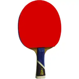 Sport 24 Double Fish 5A+ Bordtennisbat tilbud