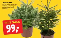 jem & fix Juletræer tilbud