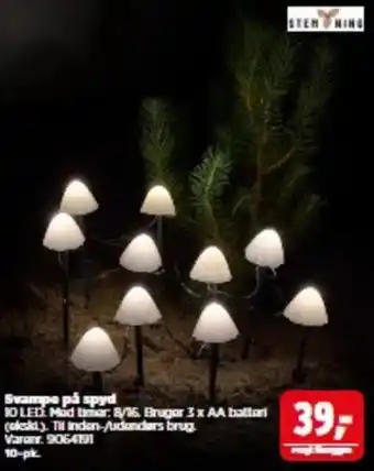Stemning svampe på spyd