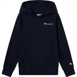 Sport 24 Champion Embroidered Small Logo Hættetrøje Børn tilbud