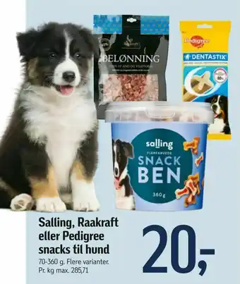 Føtex Salling, Raakraft eller Pedigree snacks til hund tilbud