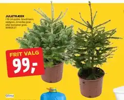 jem & fix JULETRÆER tilbud
