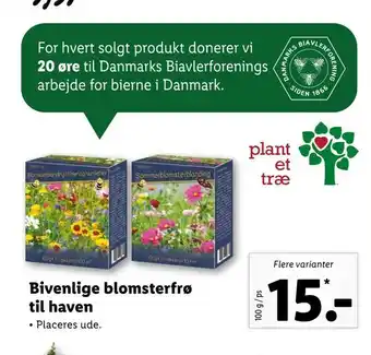 Bivenlige blomsterfrø til haven
