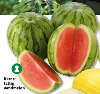 Let-Køb Kern fattig vandmelon tilbud