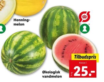 Let-Køb Økologisk vandmelon tilbud