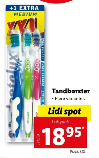 Tandbørster
