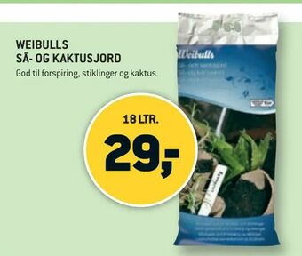 XL-BYG Weibulls så- og kaktusjord tilbud