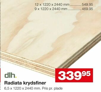 Radiata krydsfiner