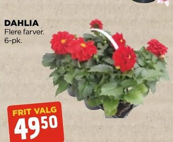 jem & fix Dahlia tilbud