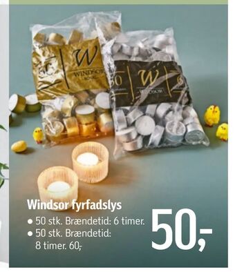 Føtex Windsor fyrfadslys tilbud