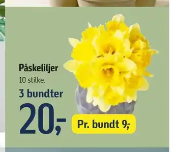 Føtex Påskeliljer tilbud